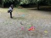 IMG-8528