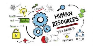 Human Resource Info Graphic Apply Now